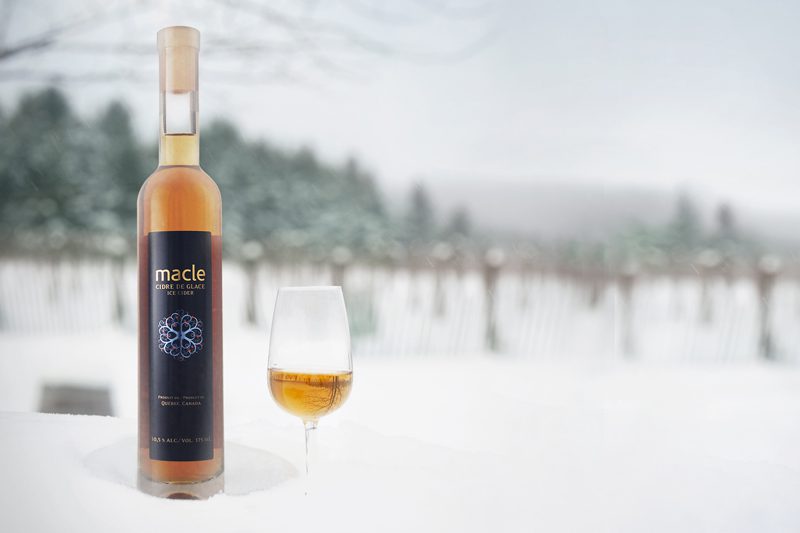 Winter vineyard Winter vineyard