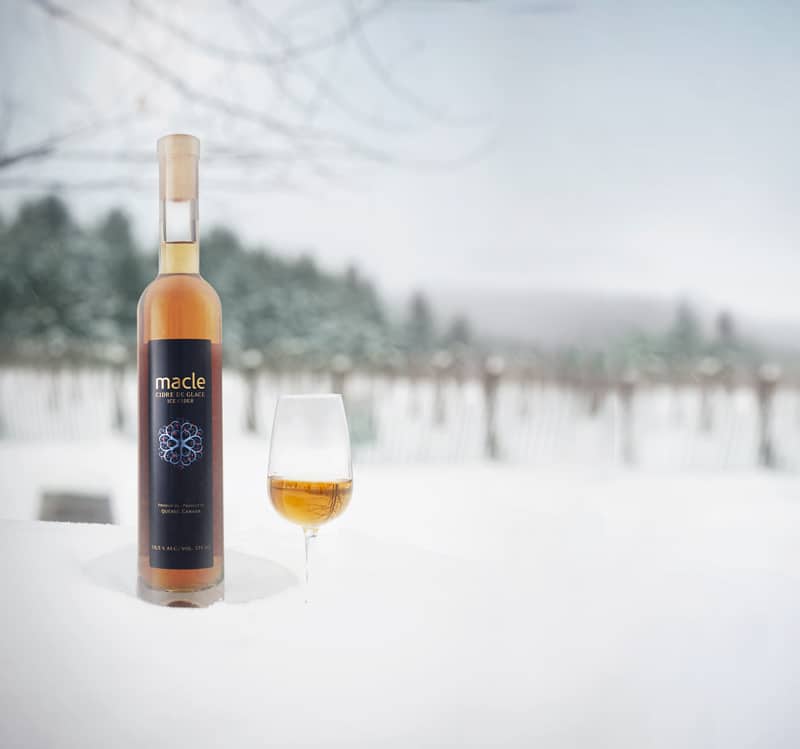 Winter vineyard