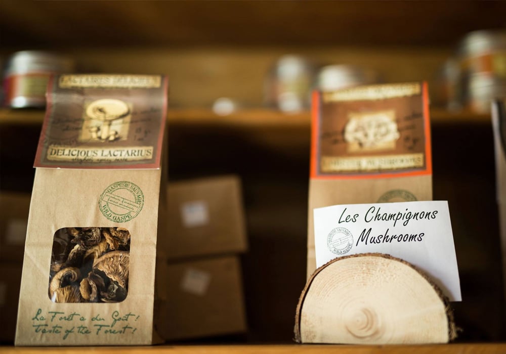 Fournisseur de champignons séchés