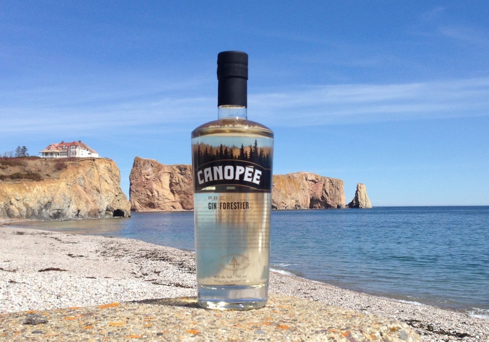 Fournisseur de gin