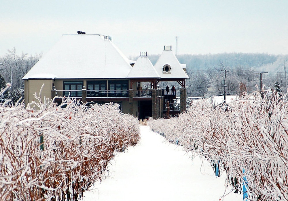 Fournisseur de vin de glace - Icewine